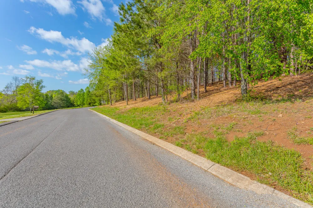 19 Turkey Flintstone, GA 30725