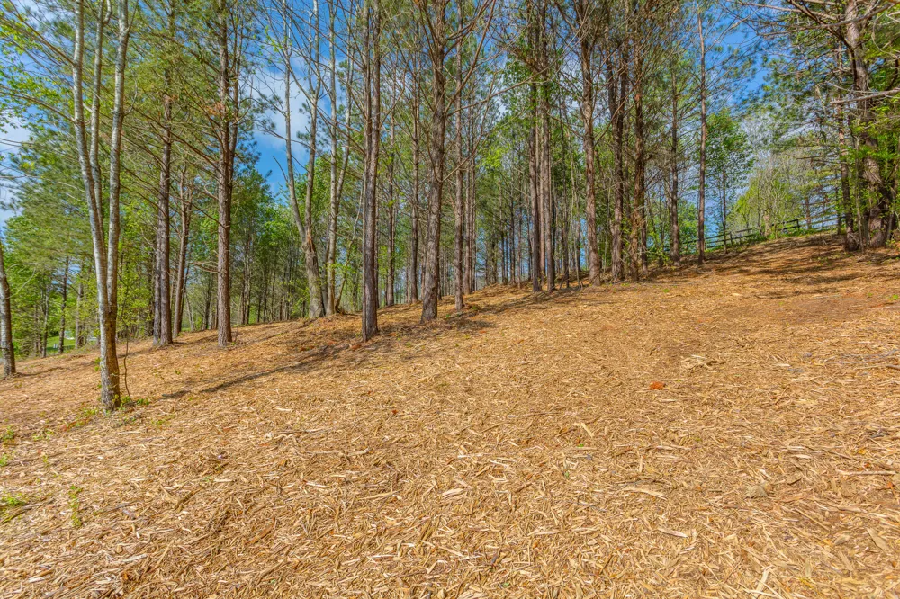 19 Turkey Flintstone, GA 30725