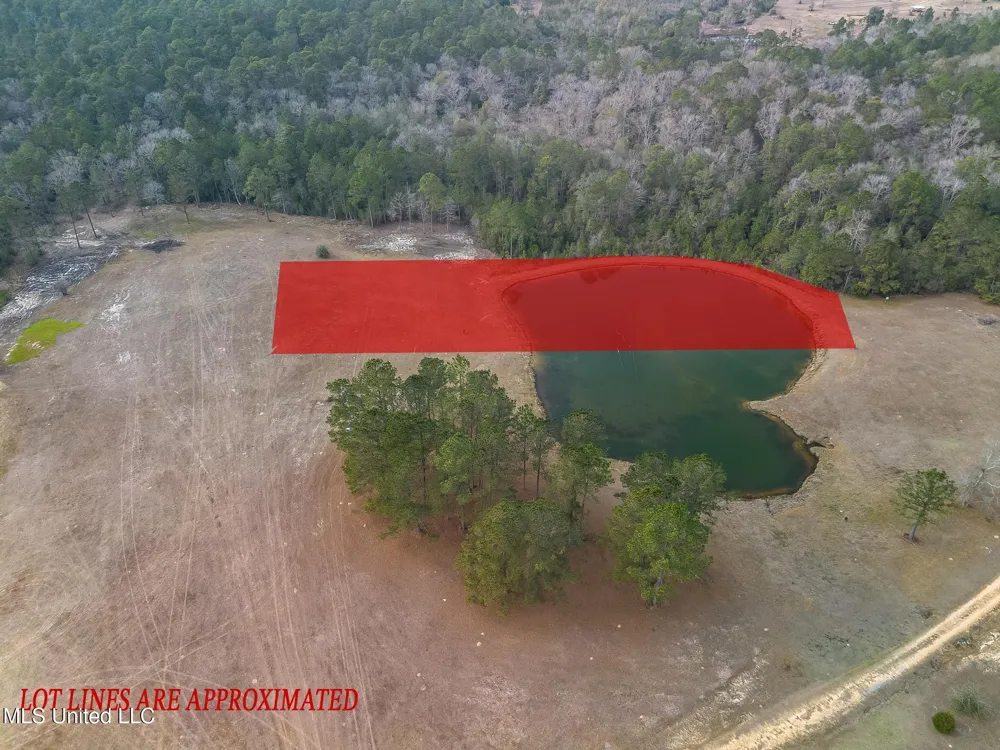 Lot 5 Kahler Lane McHenry, MS 39561