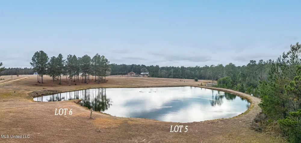 Lot 5 Kahler Lane McHenry, MS 39561