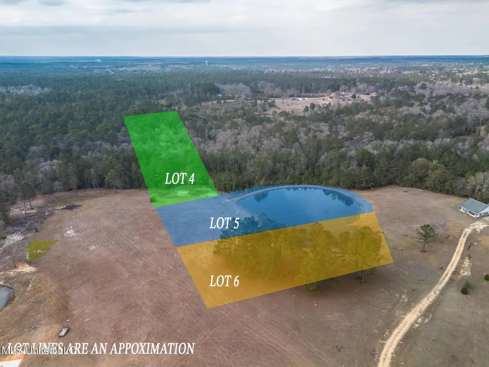 Lot 5 Kahler Lane McHenry, MS 39561