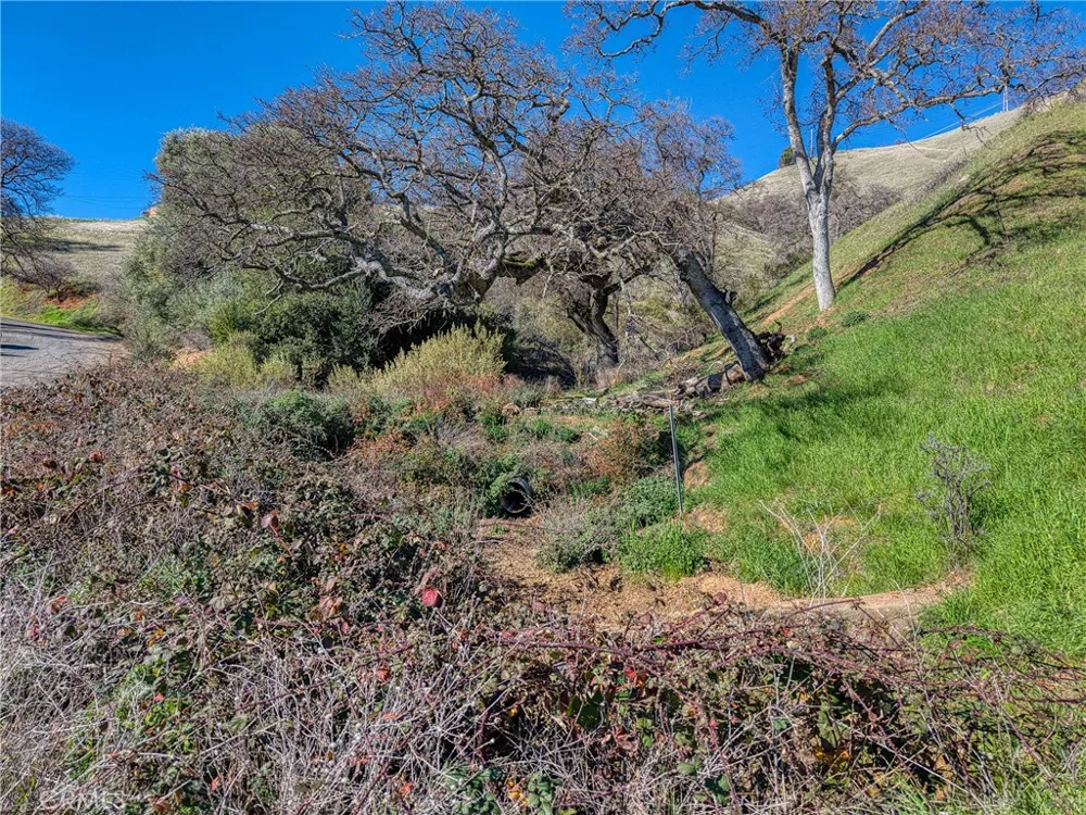 7780 Verna Lucerne, CA 95458