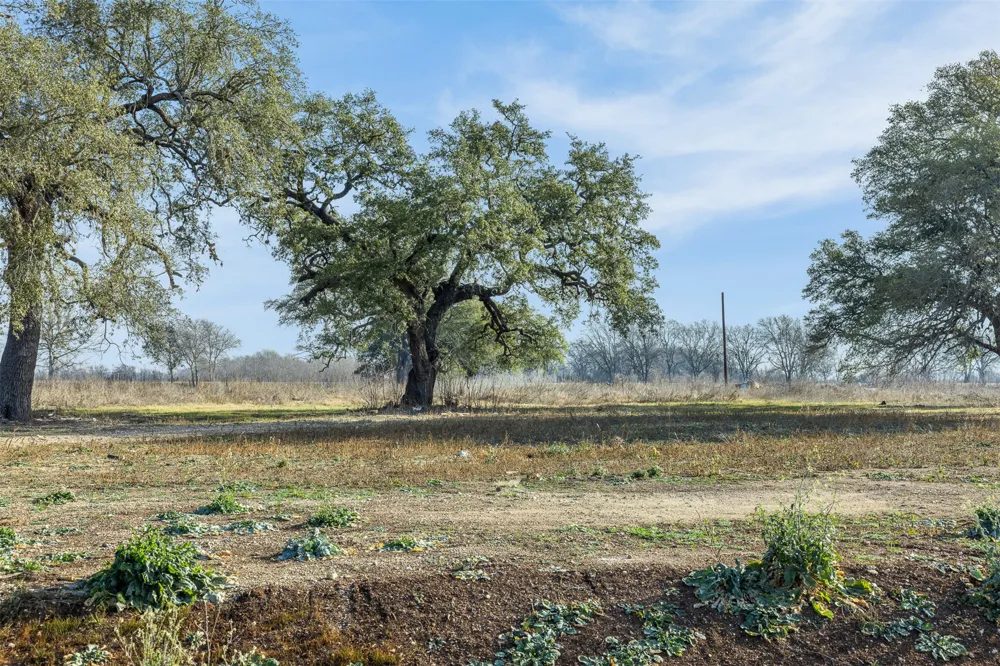 598 NW River Road Martindale, TX 78655
