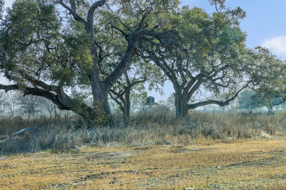 598 NW River Road Martindale, TX 78655