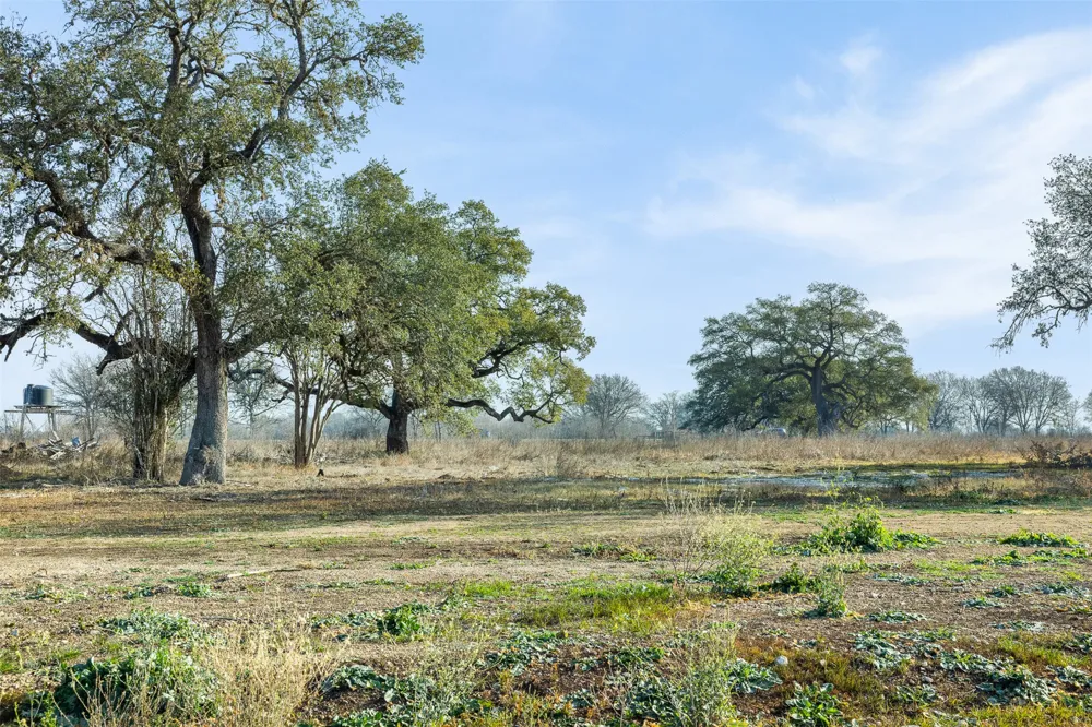 598 NW River Road Martindale, TX 78655