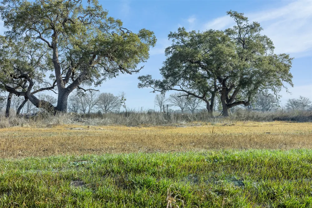598 NW River Road Martindale, TX 78655