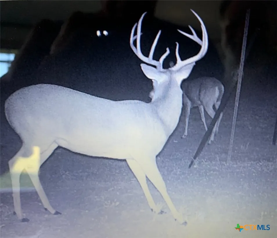 4025 County Road 284 Harwood, TX 78632