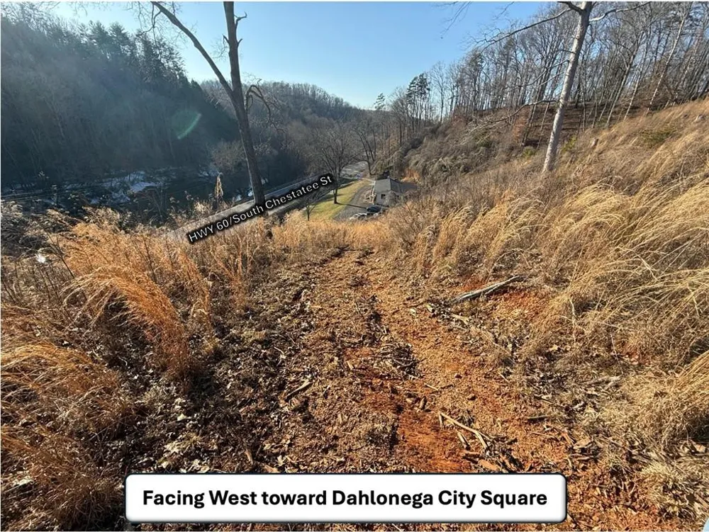 5195 South Chestatee Street Dahlonega, GA 30533