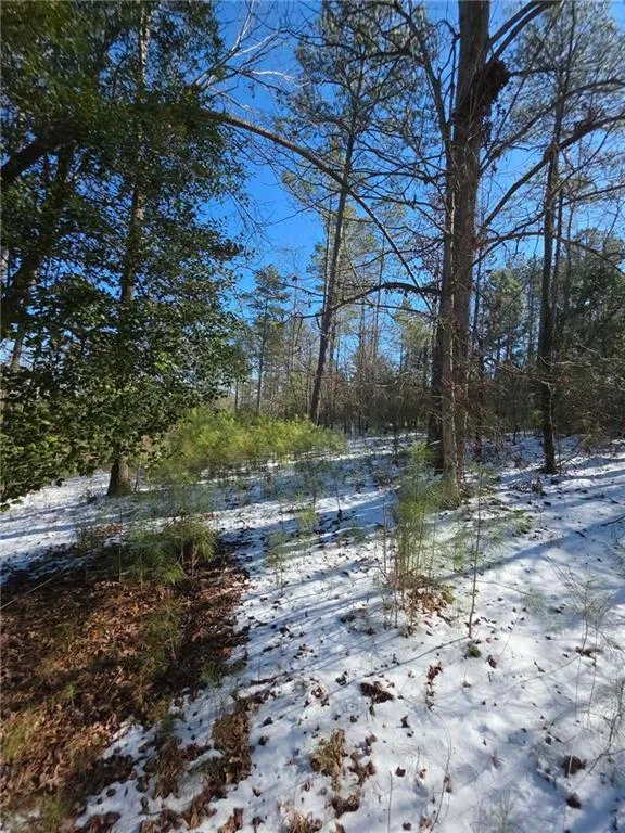 Lot 56 Hornets Bridge Drive Elberton, GA 30635