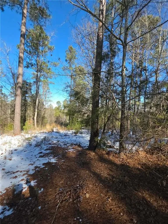Lot 56 Hornets Bridge Drive Elberton, GA 30635