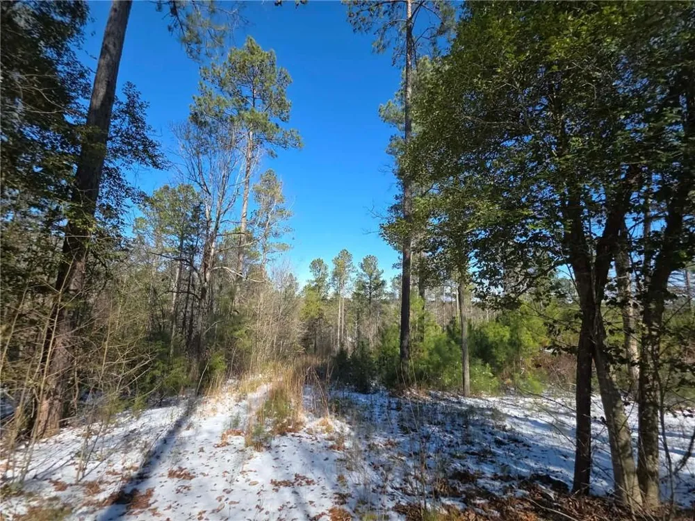 Lot 56 Hornets Bridge Drive Elberton, GA 30635
