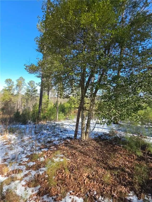Lot 56 Hornets Bridge Drive Elberton, GA 30635