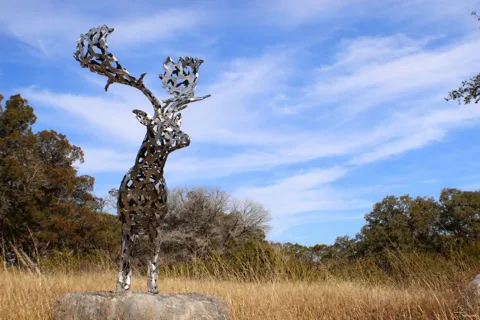 6 Gene Walker Trail