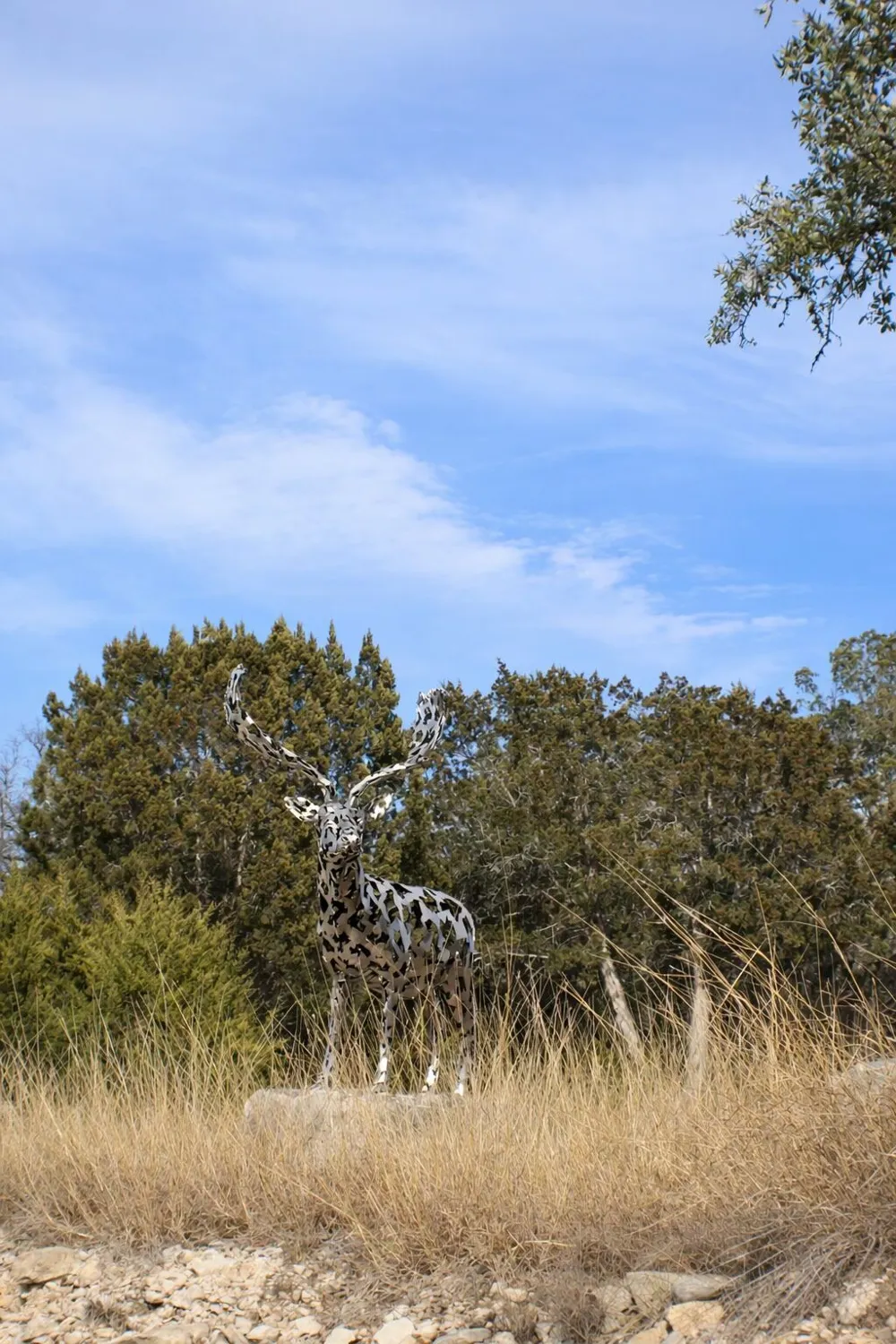 6 Gene Walker Trail Hunt, TX 78024