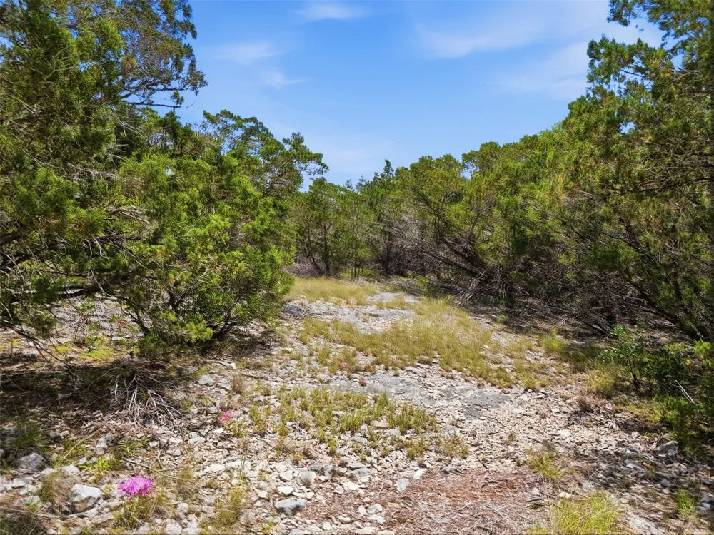 20 Winchester Road Leakey, TX 78873