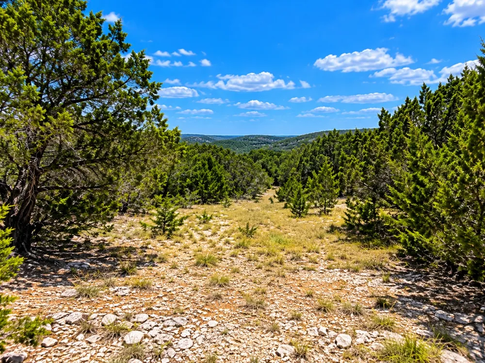 20 Winchester Road Leakey, TX 78873