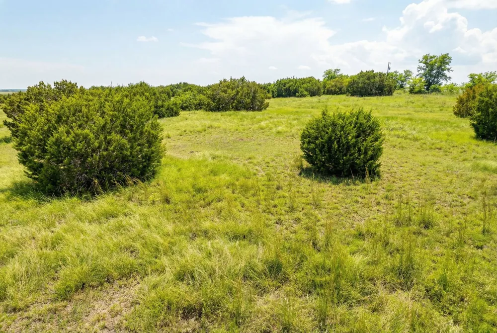 562 County Road 154 Georgetown, TX 78626