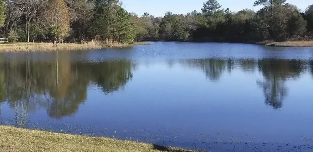 26642 Red Oak Drive Hempstead, TX 77445