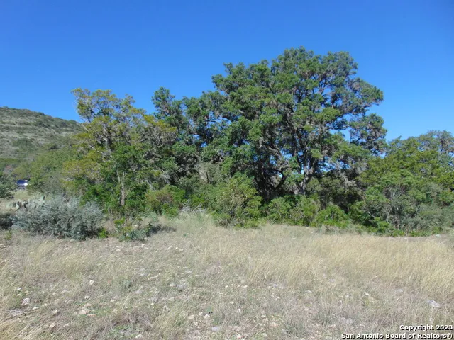 0 John Buchanan Leakey, TX 78873
