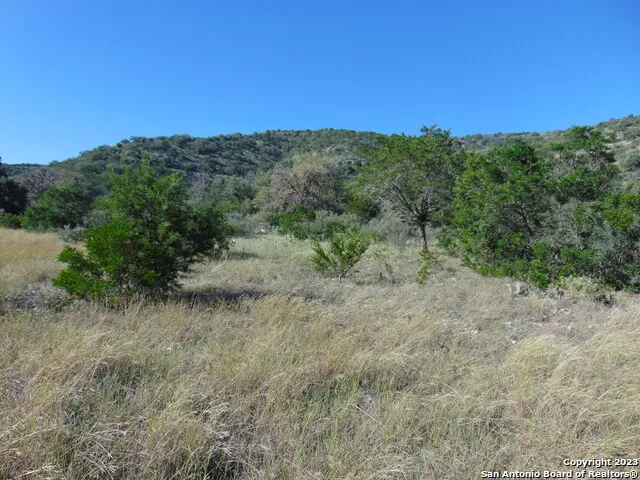 0 John Buchanan Leakey, TX 78873