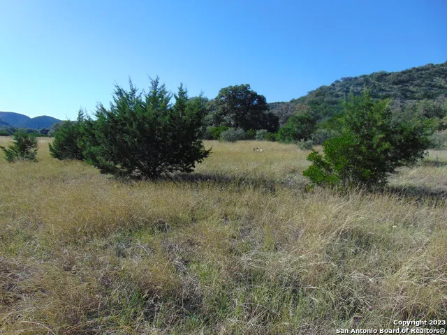 0 John Buchanan Leakey, TX 78873
