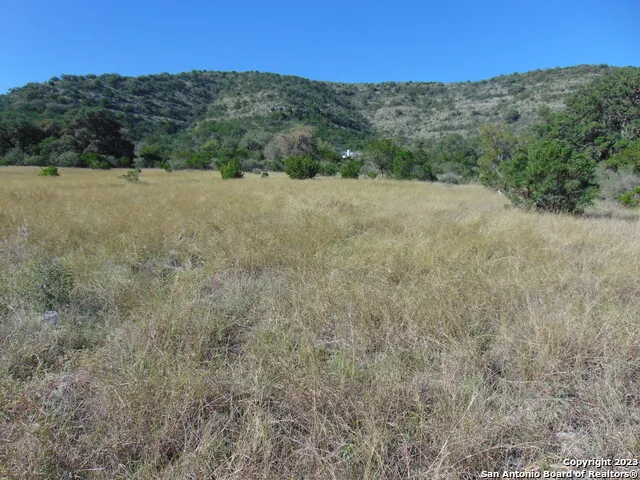 0 John Buchanan Leakey, TX 78873