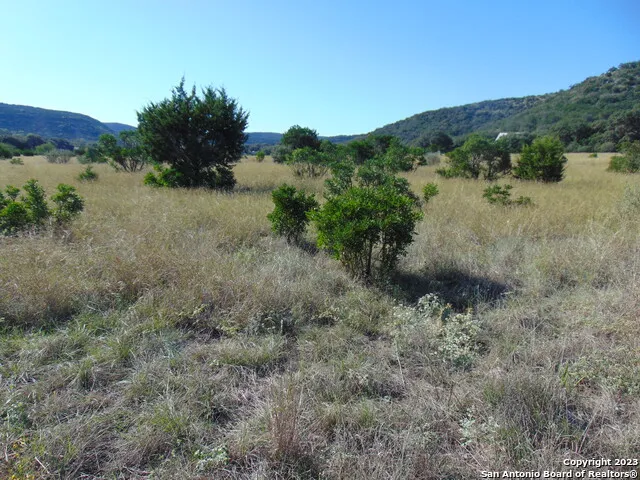 0 John Buchanan Leakey, TX 78873