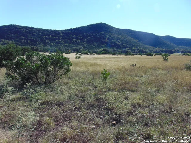 0 John Buchanan Leakey, TX 78873