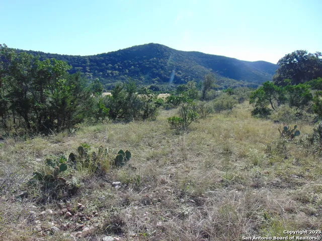 0 John Buchanan Leakey, TX 78873