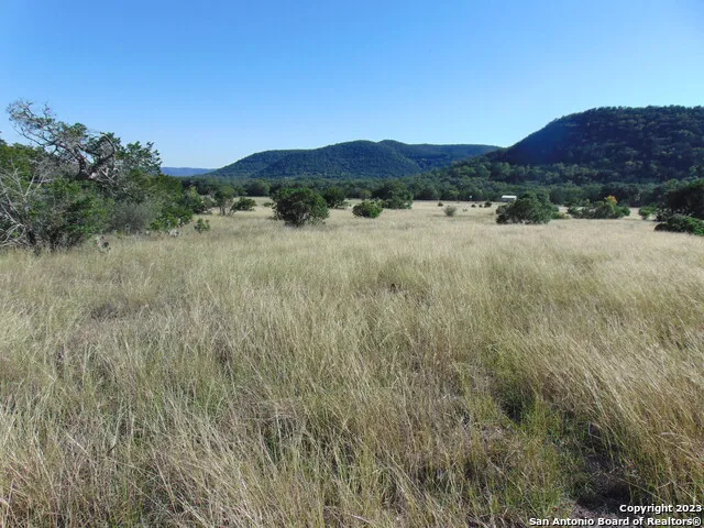 0 John Buchanan Leakey, TX 78873
