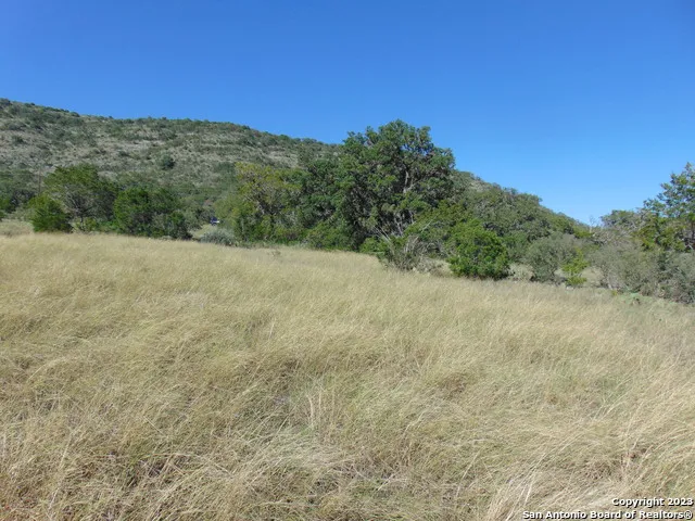 0 John Buchanan Leakey, TX 78873