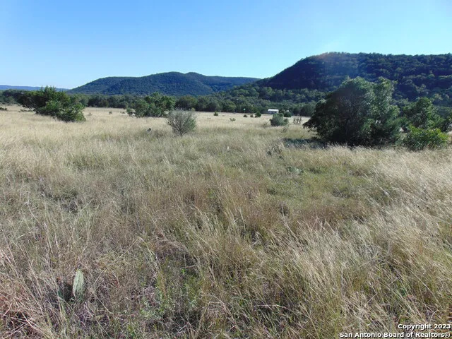 0 John Buchanan Leakey, TX 78873