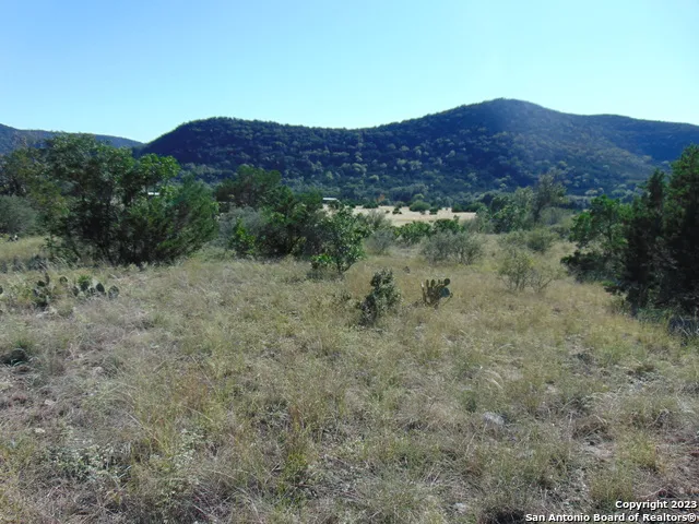 0 John Buchanan Leakey, TX 78873