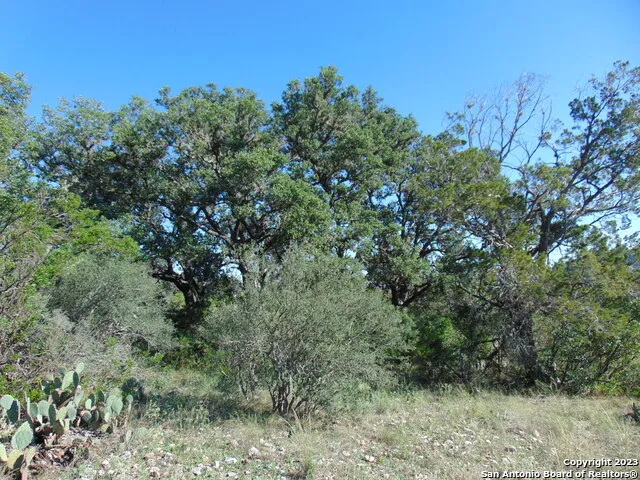 0 John Buchanan Leakey, TX 78873
