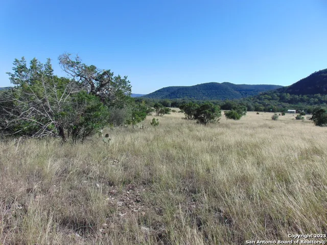 0 John Buchanan Leakey, TX 78873