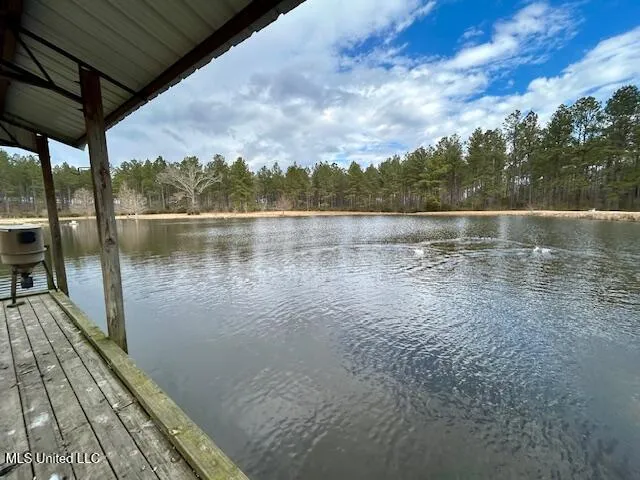 13835 U.S. 98 Smithdale, MS 39664
