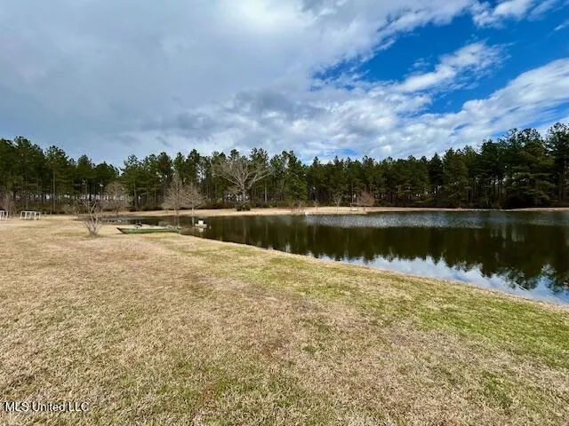 13835 U.S. 98 Smithdale, MS 39664