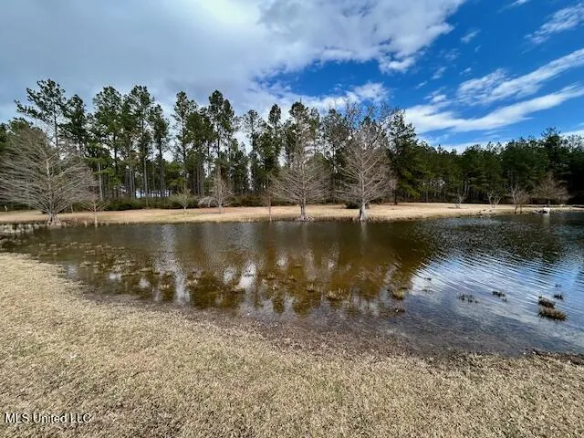 13835 U.S. 98 Smithdale, MS 39664
