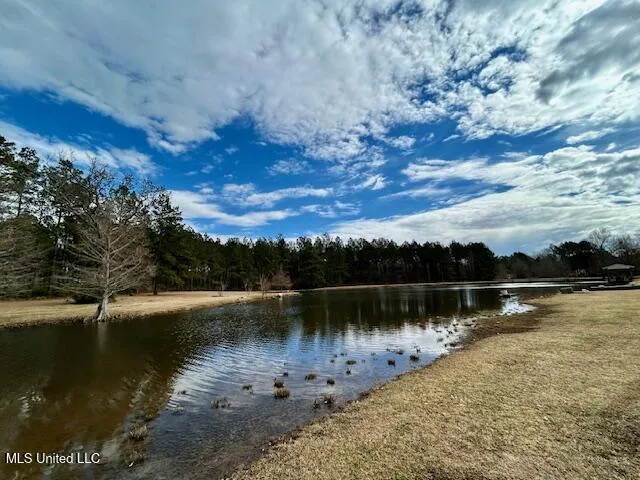 13835 U.S. 98 Smithdale, MS 39664