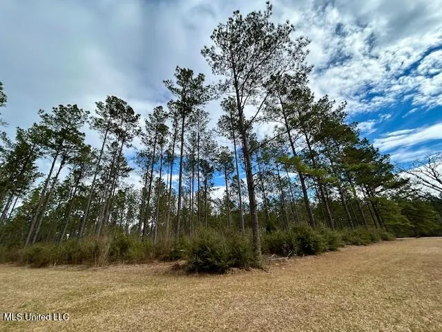 13835 U.S. 98 Smithdale, MS 39664