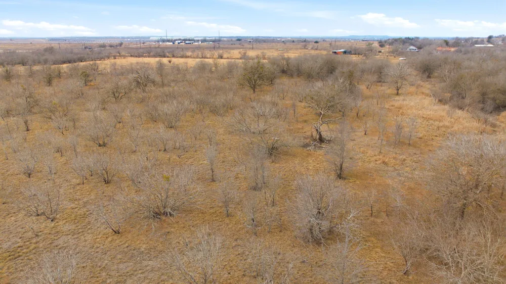 13802 Hokanson Road Del Valle, TX 78617