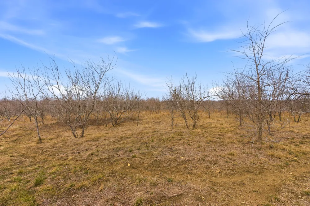 13802 Hokanson Road Del Valle, TX 78617