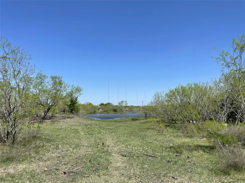 11319 Doyle Overton Road Del Valle, TX 78617