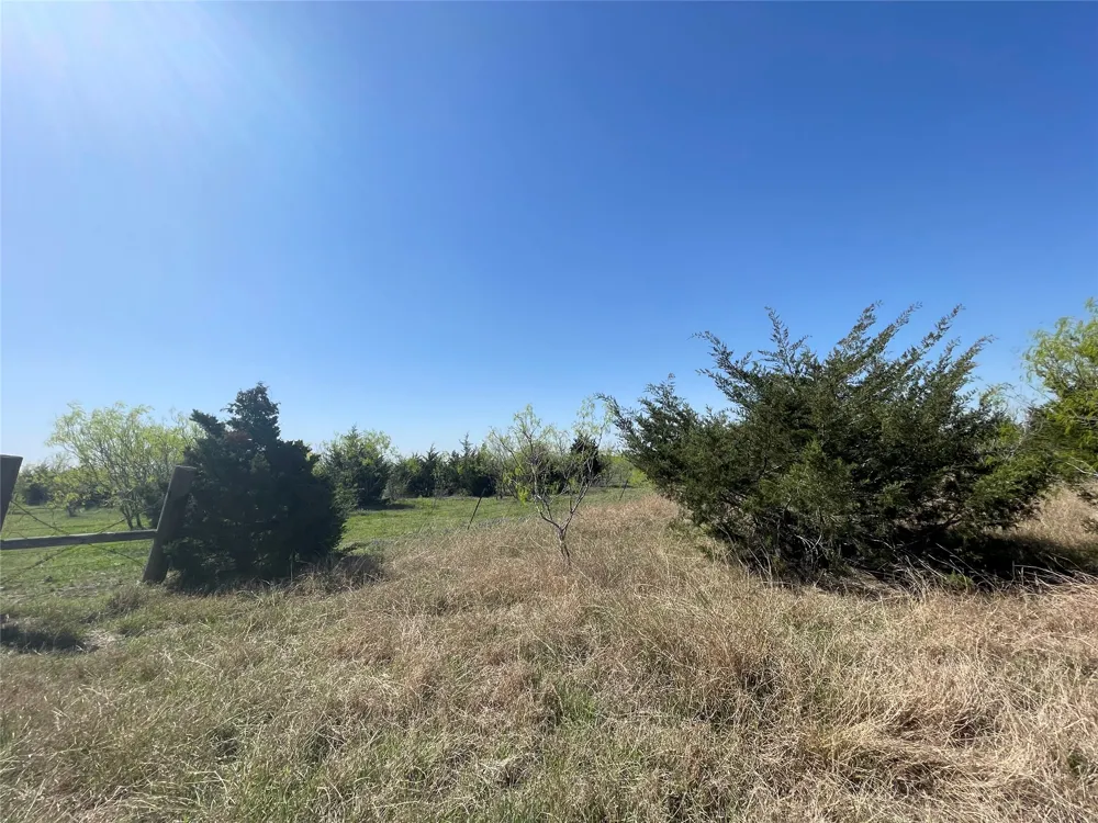 11319 Doyle Overton Road Del Valle, TX 78617