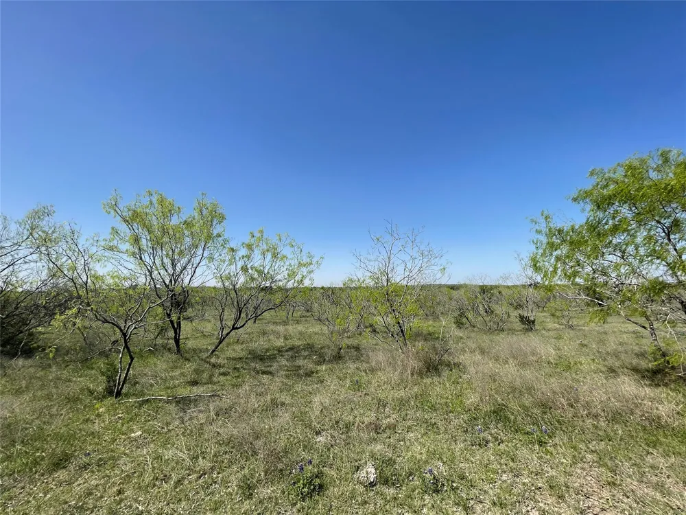 11319 Doyle Overton Road Del Valle, TX 78617