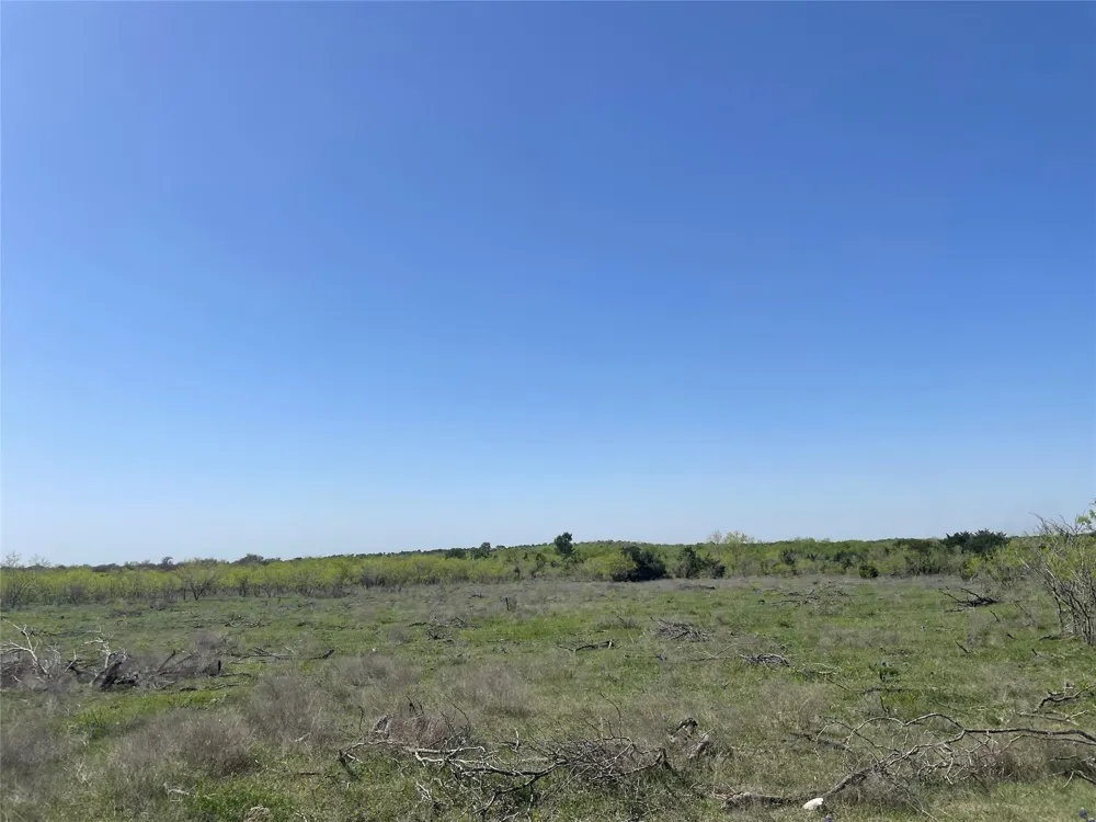 11319 Doyle Overton Road Del Valle, TX 78617