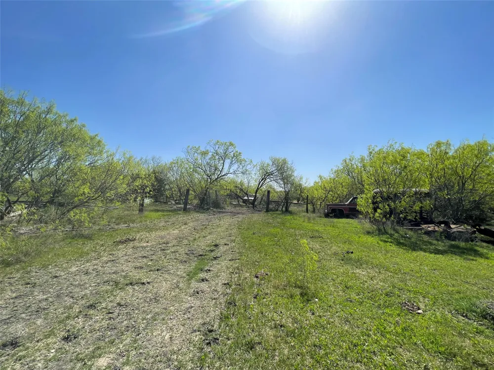 11319 Doyle Overton Road Del Valle, TX 78617