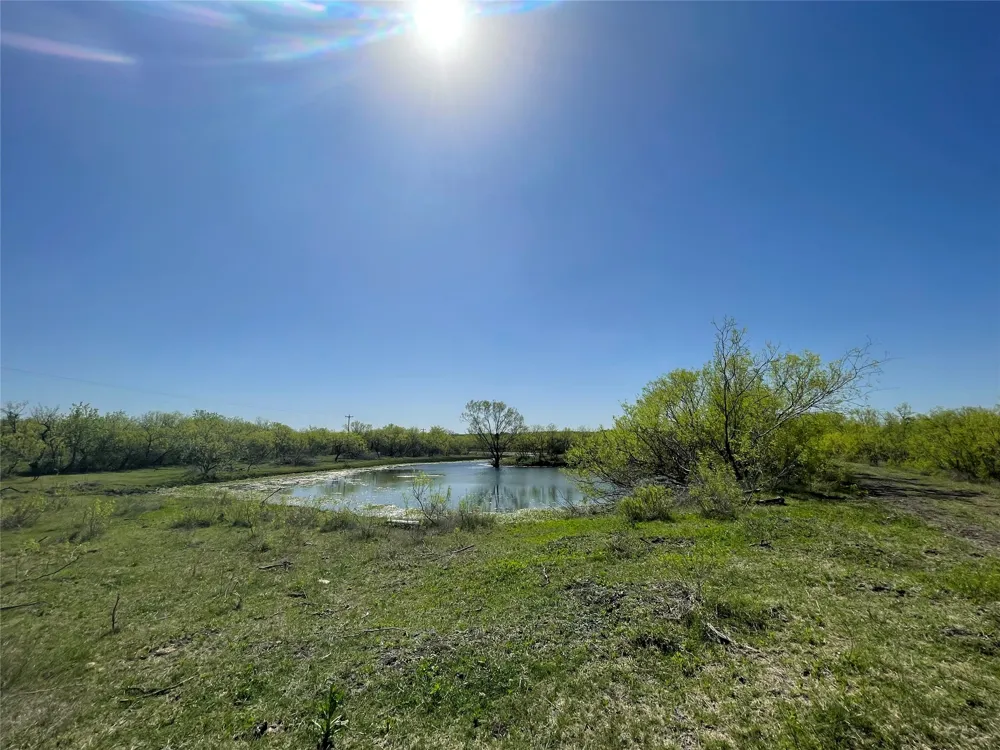 11319 Doyle Overton Road Del Valle, TX 78617