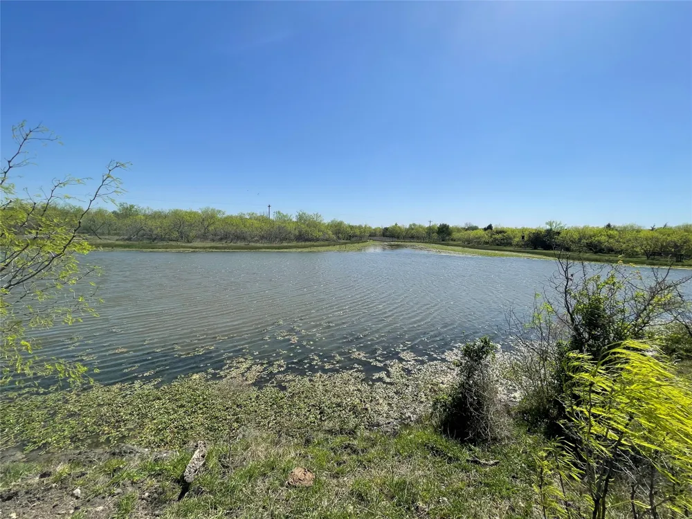 11319 Doyle Overton Road Del Valle, TX 78617