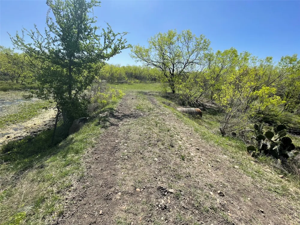 11319 Doyle Overton Road Del Valle, TX 78617